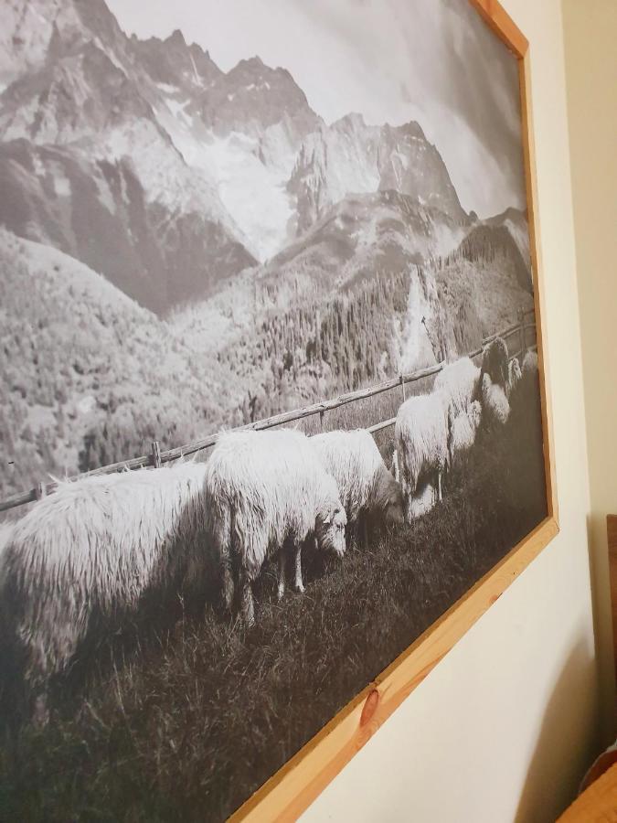 Apartament Izba W Centrum Zakopane Eksteriør bilde