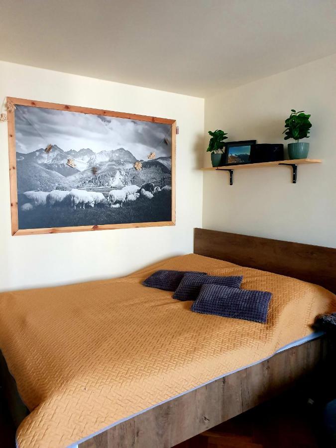 Apartament Izba W Centrum Zakopane Eksteriør bilde